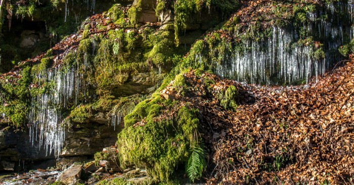 The wonderful Stride for Life walks can be found weekly throughout Perthshire and this Thursday walk is a great way to explore a bit of Aberfeldy with other people in the area.