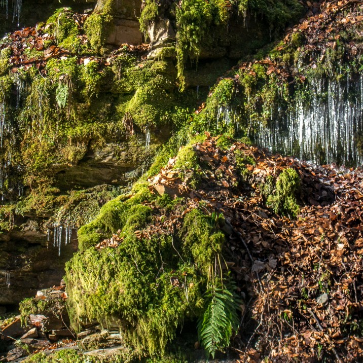 Icicles at the Birks of Aberfeldy