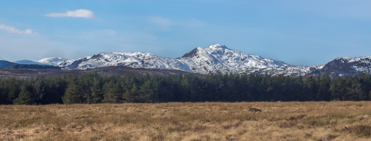 ABERFELDY the meadow