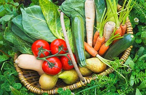 Vegetable Growing in Scotland