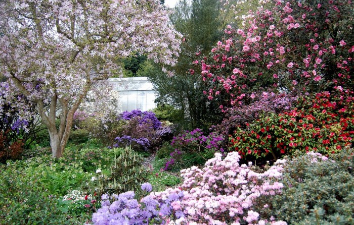 Glendoick's gardens are situated 1/2 mile behind the Glendoick Garden centre on the southern slopes of the Sidlaw Hills and open each year for April and May.