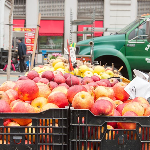 An abundance of fresh juicy apples in a range of colours, piled high in baskets at the New York market.