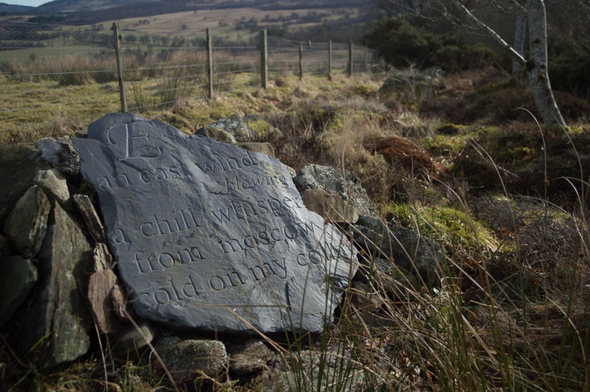The rolling Perthshire hills in the background, and the rustic, earthy tones of the shrubbery make this walk picture perfect.