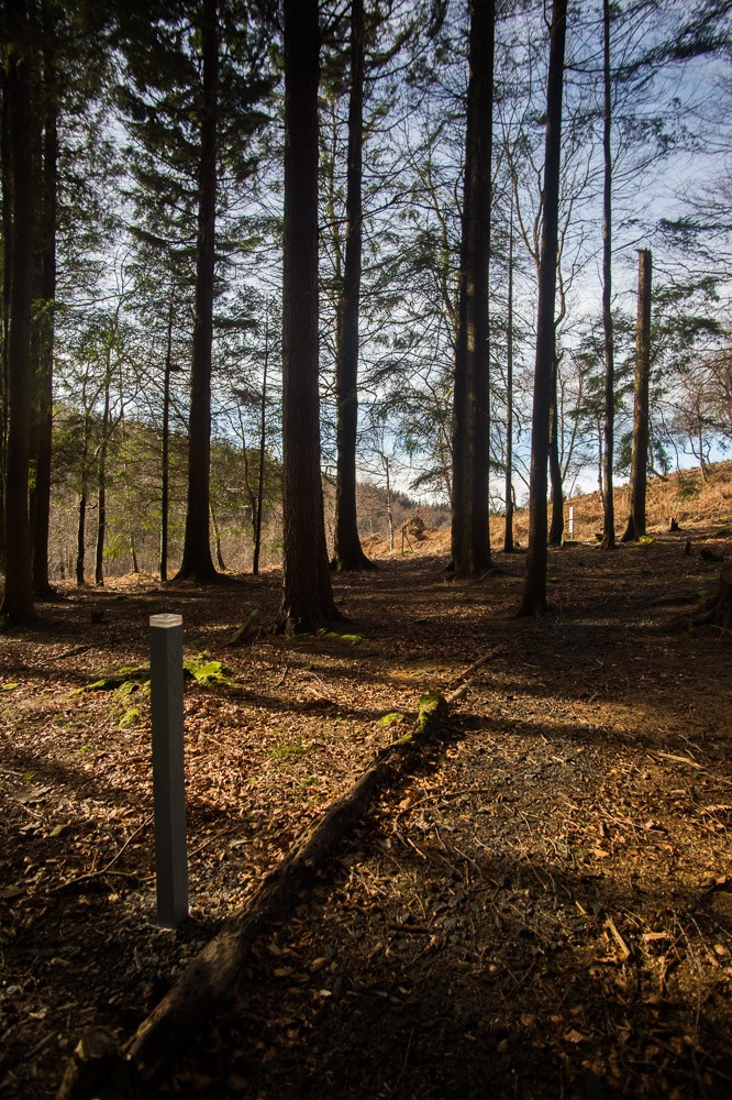 The picturesque Corbenic Poetry path in Perthshire.