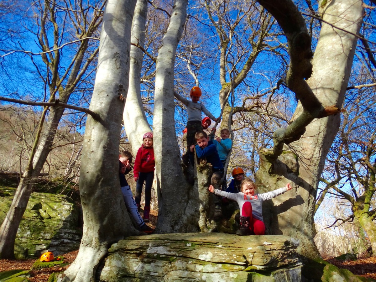 Outdoor Adventures Biscuiteering kids parties