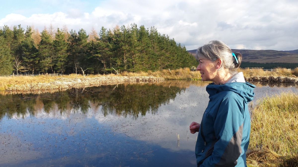 Sue listened intently to the sounds of the frogs in the still, dark pond.
