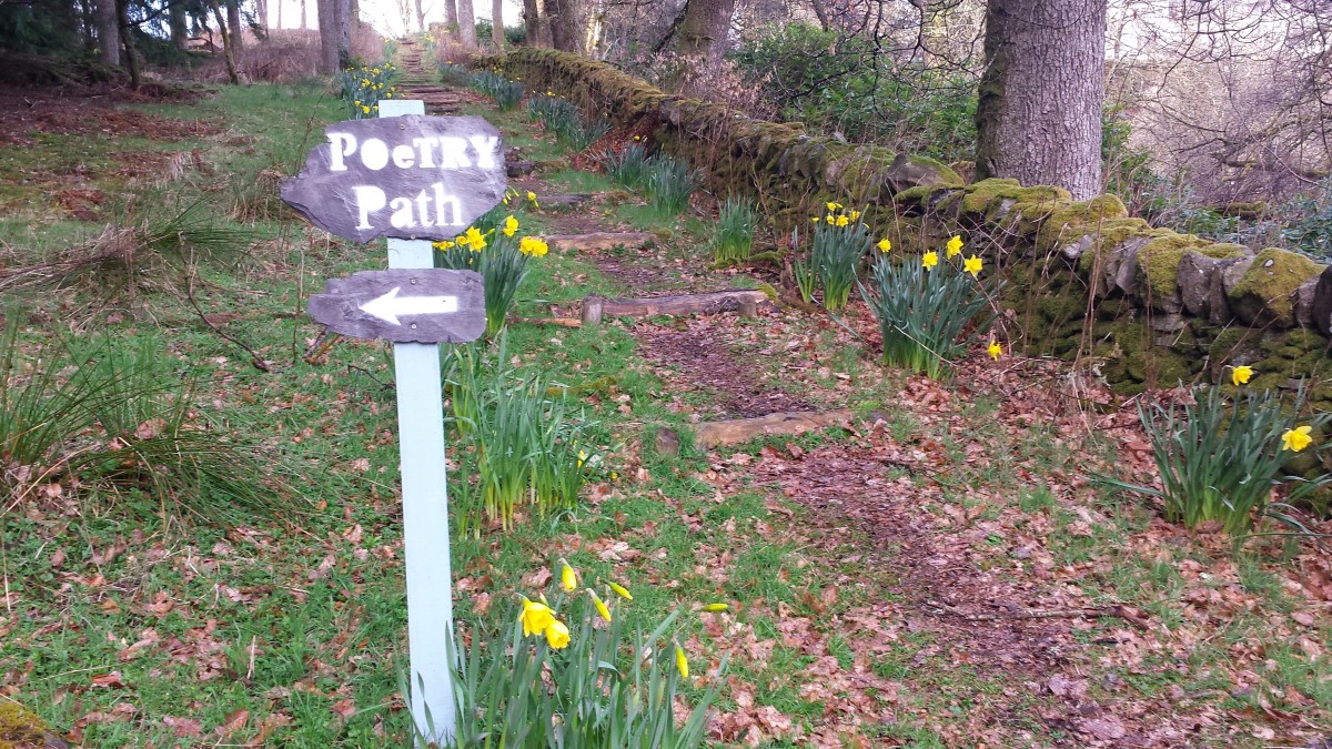 Make your start through the beautiful woodlands of Corbenic Poetry Path near Dunkeld in Perthshire.
