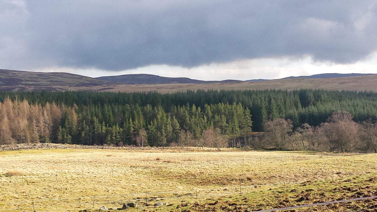 Wide open hillsides make for a stunning walk in Trochry, Perthshire.