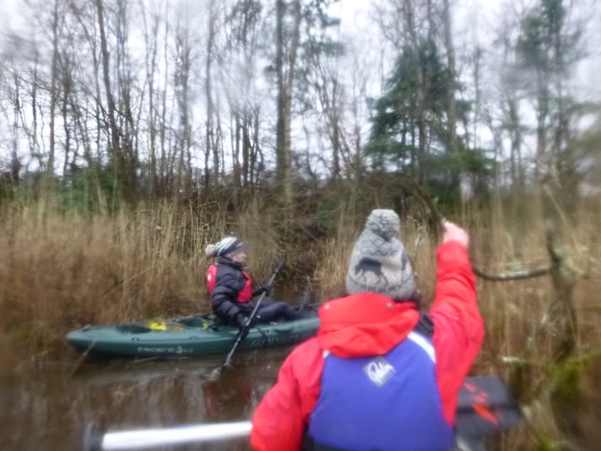 Outdoor Adventures Perthshire Wildlife canoe marsh