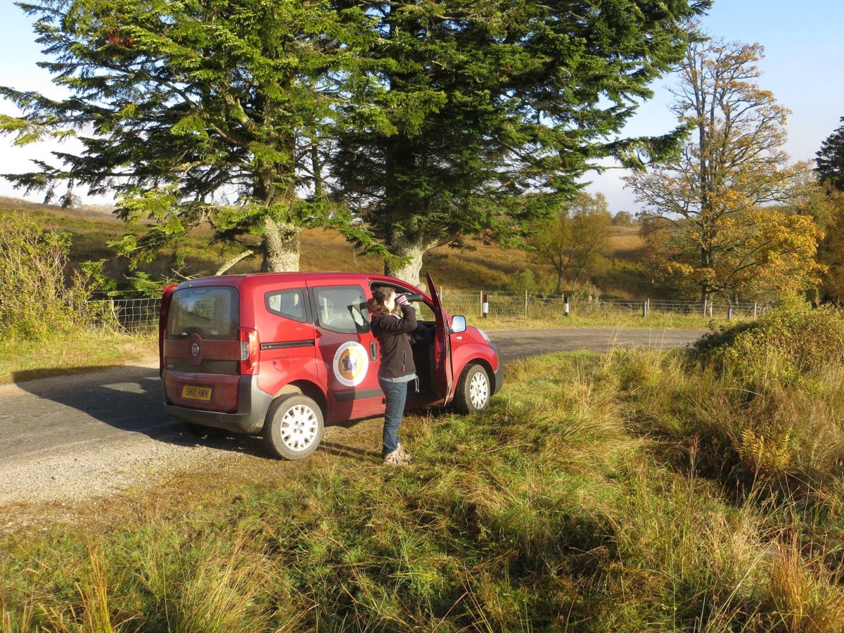 Outdoor Adventures Perthshire Wildlife binoulars