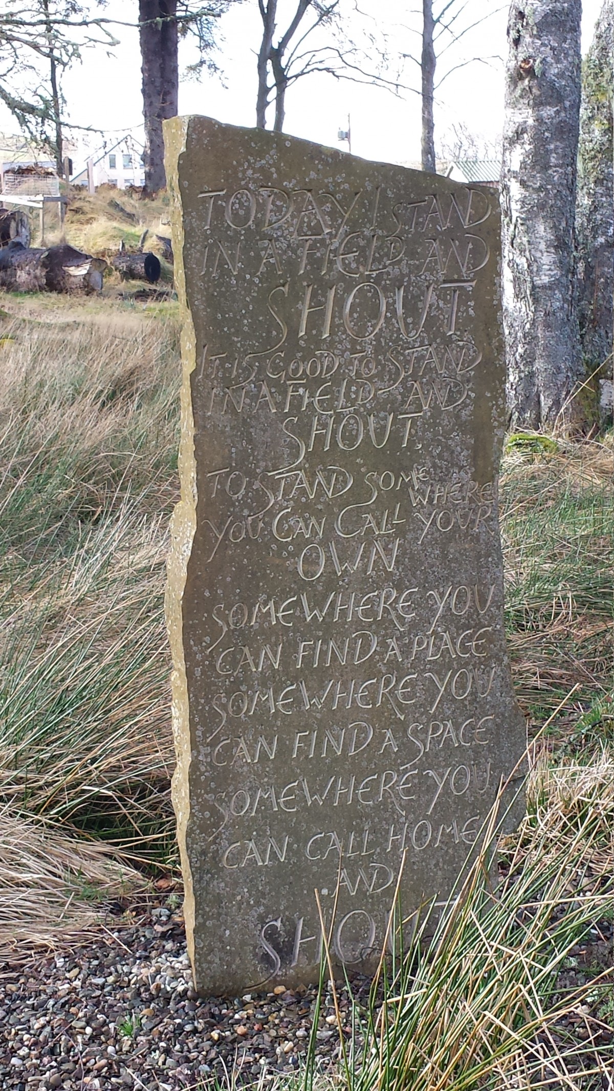 SHOUT, it said. Stand somewhere you can call your own and shout.