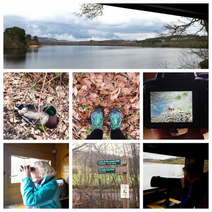 Loch of Lowes offered so much to see and do.