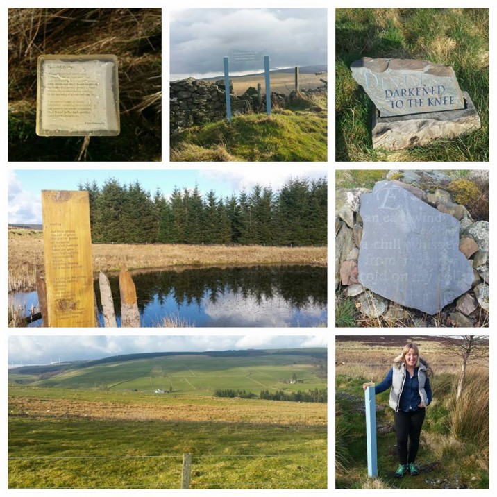 The Corbenic Poetry path is a must do walk in perthshire.