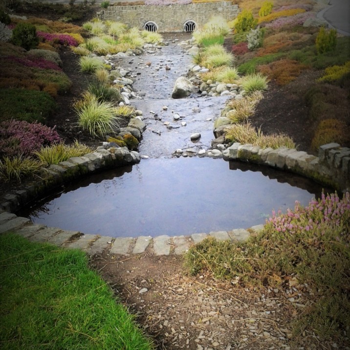Rodney Gardens is a nice place to go for inspiration for your own garden.