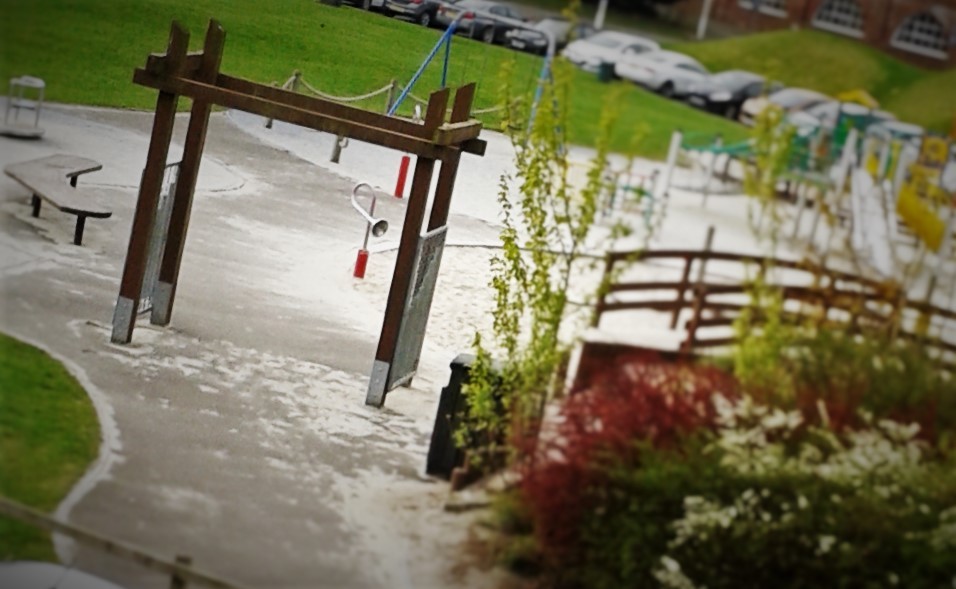 The park is a great place to go after your swim.