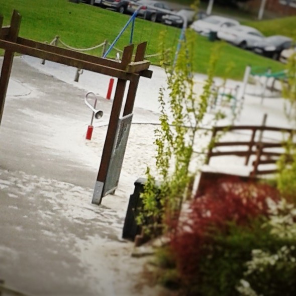 The park is a great place to go after your swim.