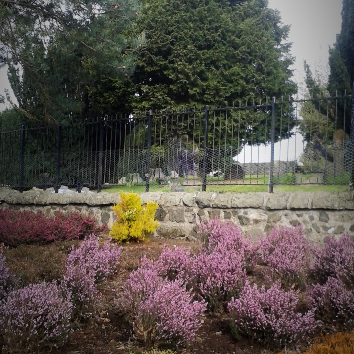 The herb gardens and the Rodney gardens