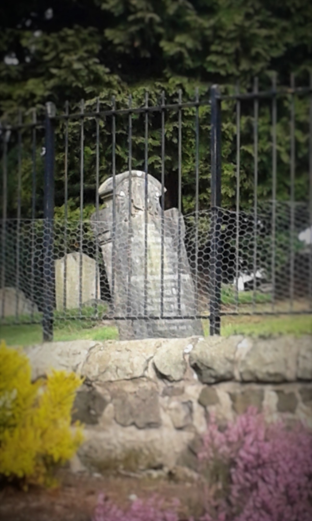The grave yard at the Rodney Gardens.
