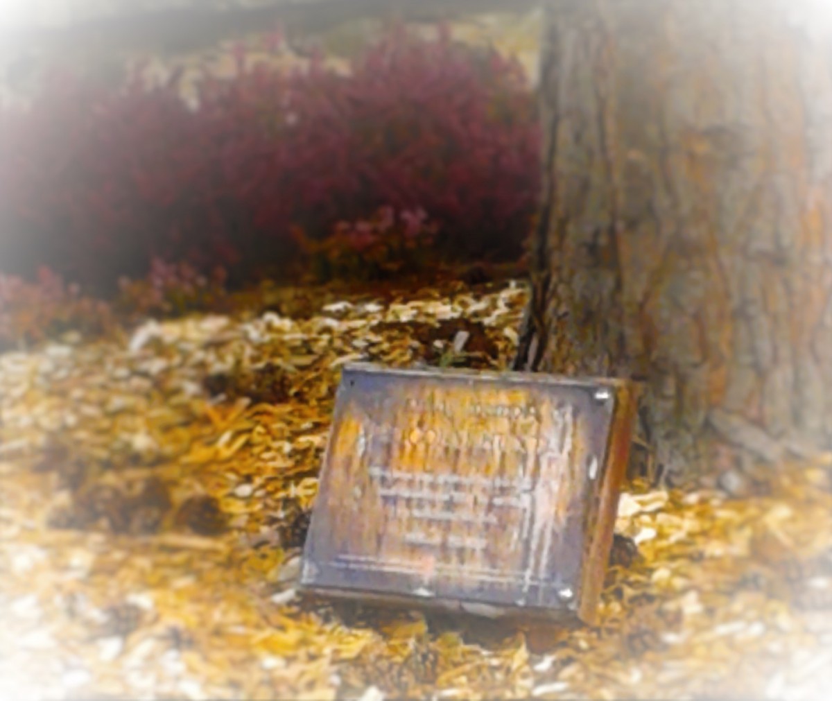 a little memorial tree