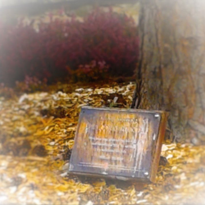 a little memorial tree