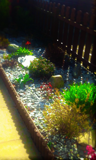 I love helping my mum in the garden.