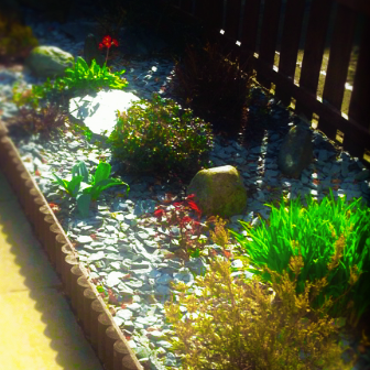 I love helping my mum in the garden.