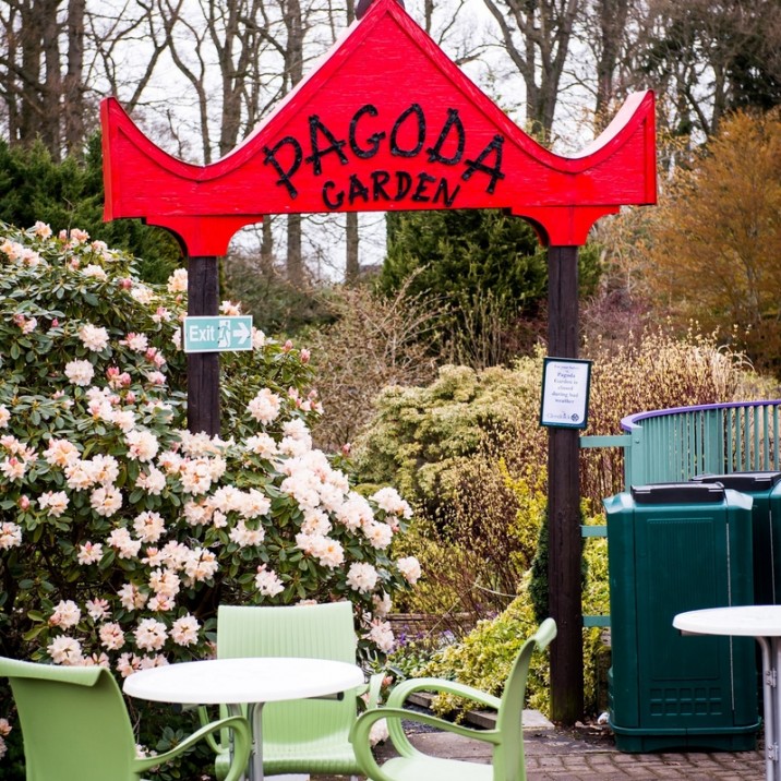 The Pagoda Garden is a favourite during a visit.