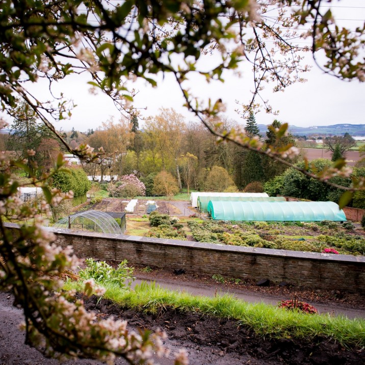 Polytunnels at Glendoick Gardens.