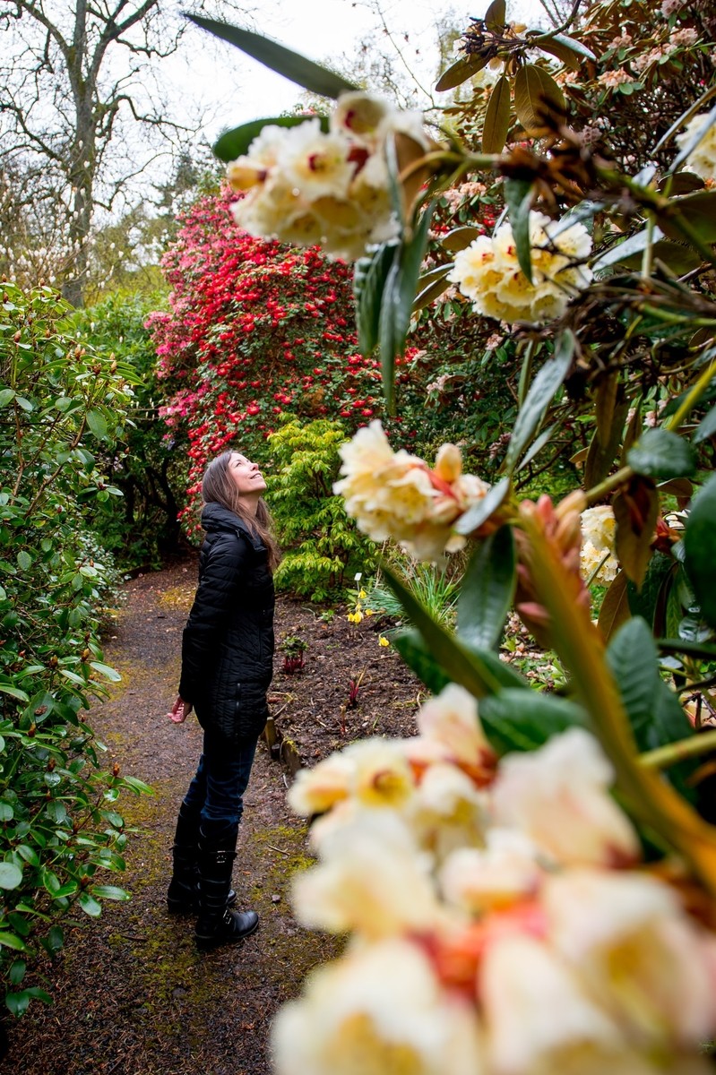 GLENDOICK REVIEW Helen