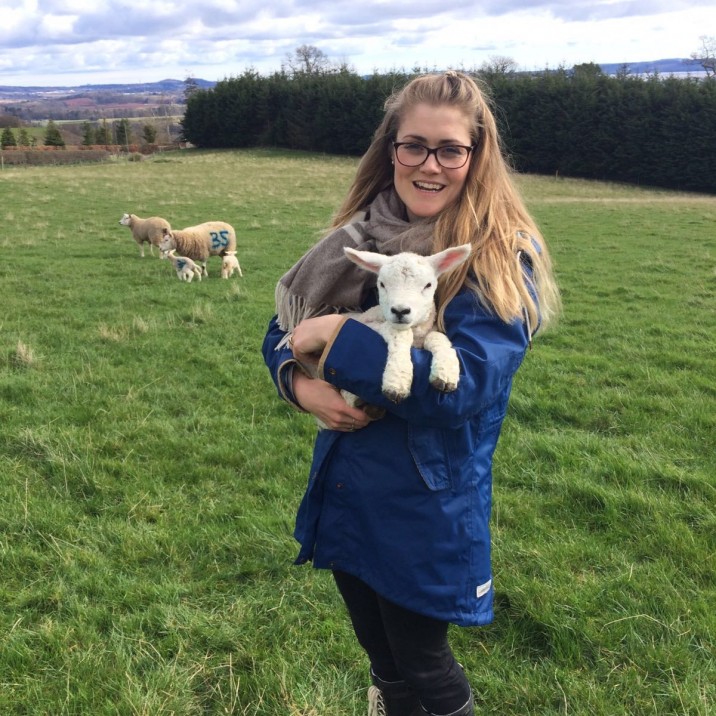 Guardswell Farm, babe in arms @guardswellfarm