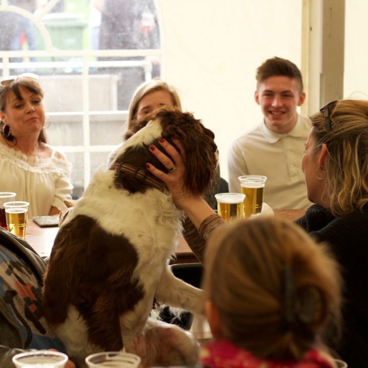 The Perth Beer Festival 2016 was a great day for all the family, even the dog!