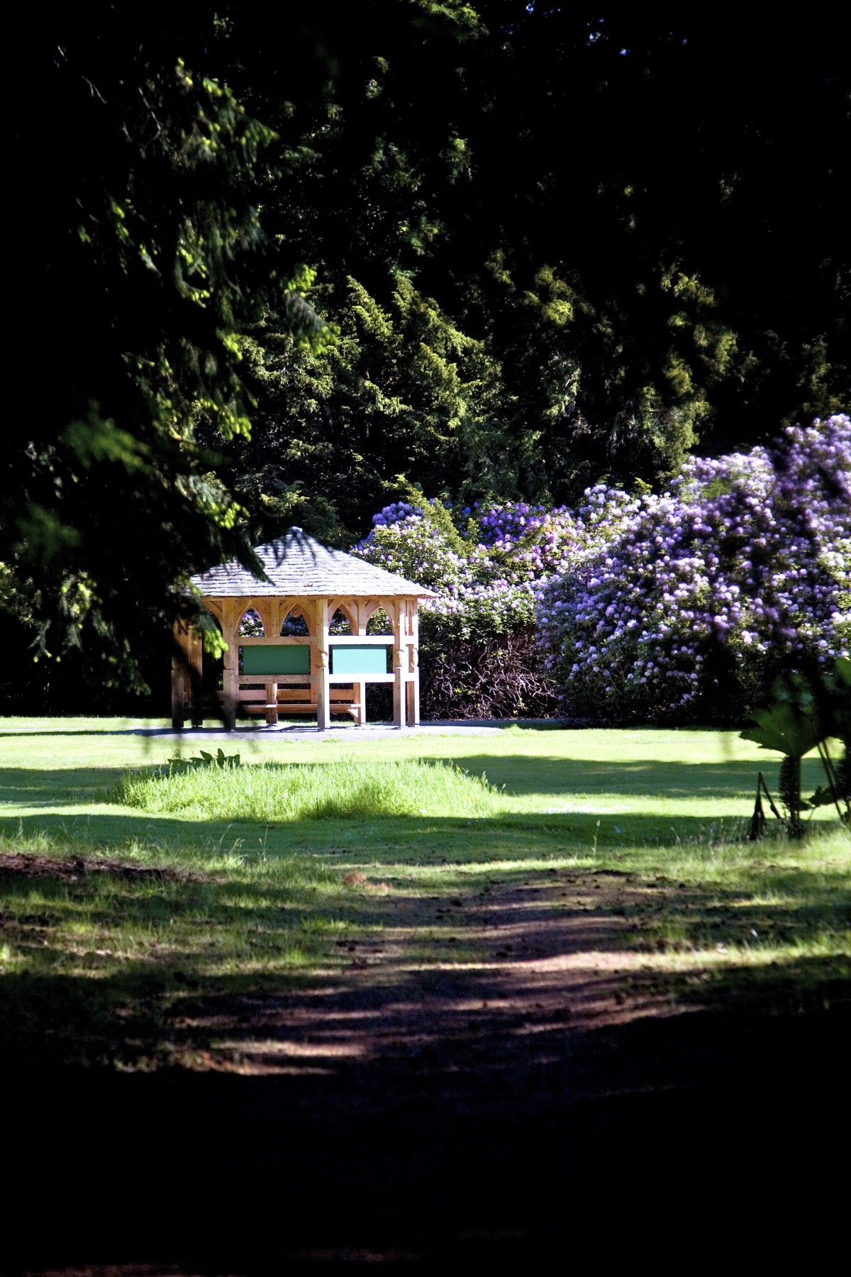The gardens at Scone palace are beautiful with a wide range of plants and trees.