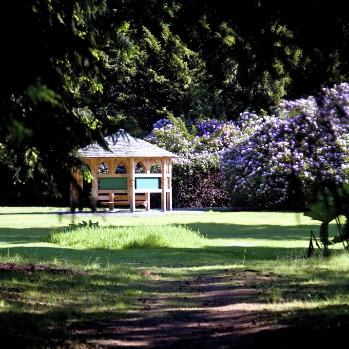 The gardens at Scone palace are beautiful with a wide range of plants and trees.