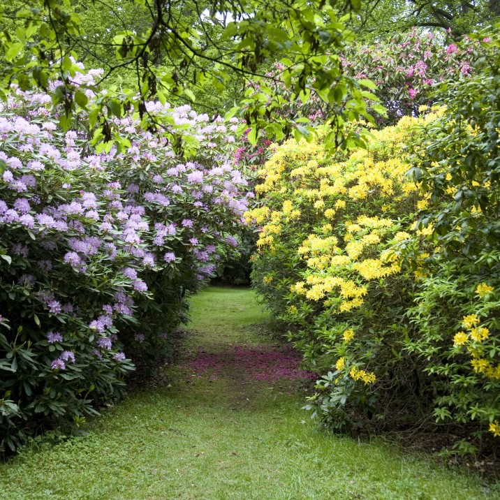 The gardens at Scone Palace are bursting with colour.