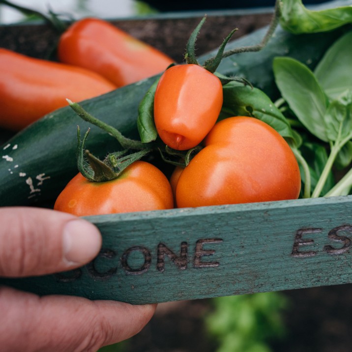 Scone Estate grows a lot of it's own fruit and vegetables.  You can buy their produce within the castle shop.
