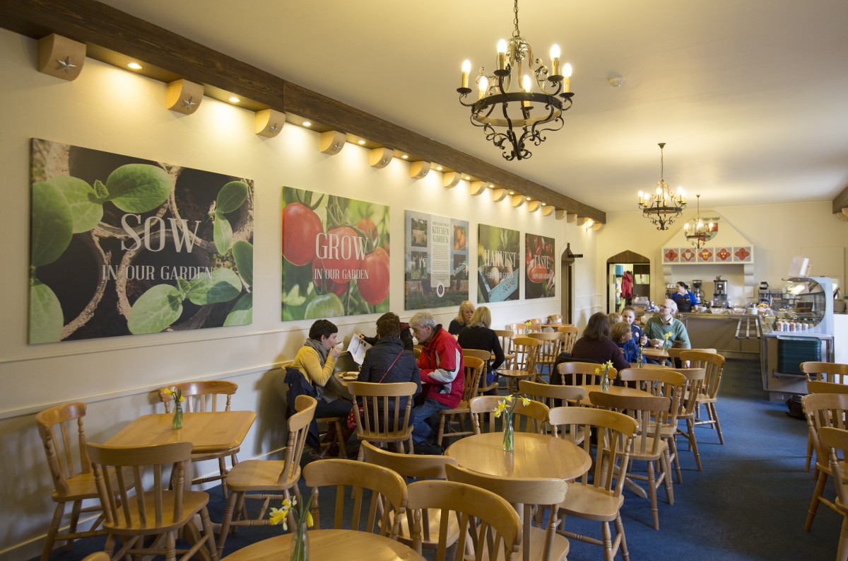 The cafe at Scone Place serves up a range of cakes, bakes and sandwiches.  We particularly love the home baked scones with cream and jam!  Delicious!