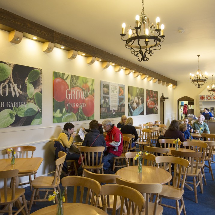 The cafe at Scone Place serves up a range of cakes, bakes and sandwiches.  We particularly love the home baked scones with cream and jam!  Delicious!