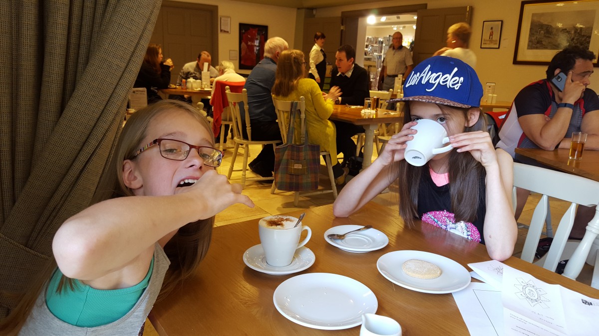 FESTIVALS OF MUSEUM - lUNCH