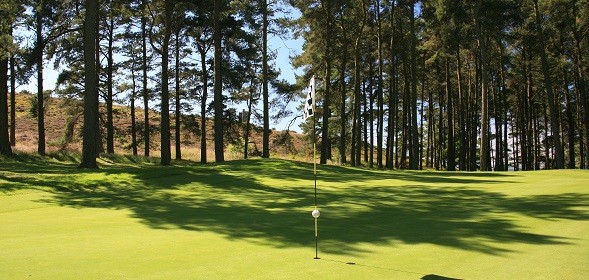 MURRAYSHALL GOLF COURSE - Trees