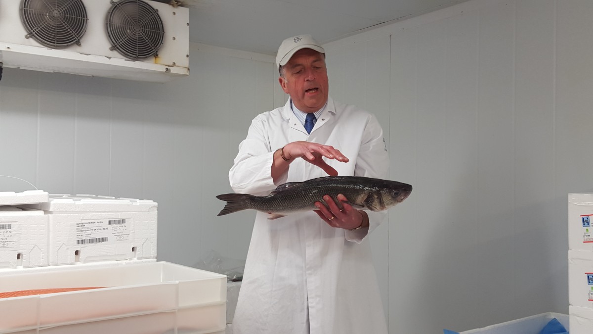 GEORGE CAMPBELL - Gordon holding fish