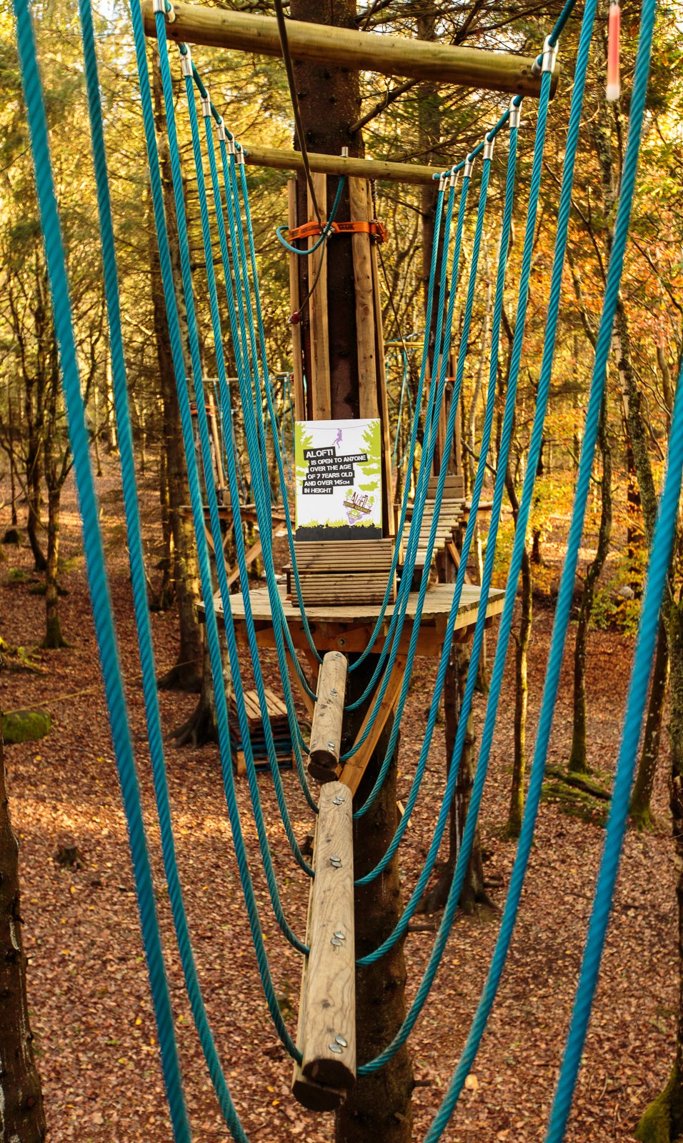 From tree-to-tree, across rope bridges and then along the tightest of tightropes and past tons of tricky obstacles, Aloft! is Crieff Hydros tree top adventure centre. Visit this summer for a great family day out.