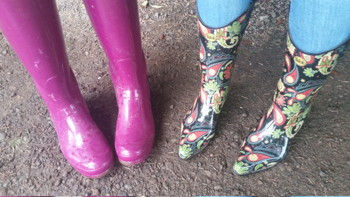 Solas wellies