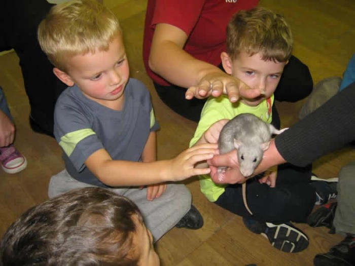 Prepare to meet the slimey, the slippery, the furry and the cute as Glendoick welcome in the marvellous animals from Zoolab.