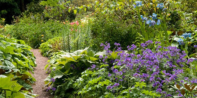 Branklyn Gardens have a beautiful range of plants and flowers and is based in the city centre.  It's a must visit this summer!