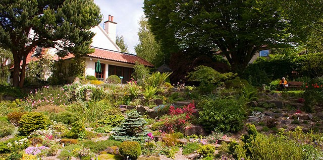 Branklyn Gardens looks amazing especially at this time of year.  Visit this Summer with the family.