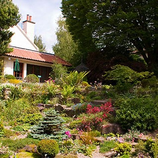 Branklyn Gardens looks amazing especially at this time of year.  Visit this Summer with the family.