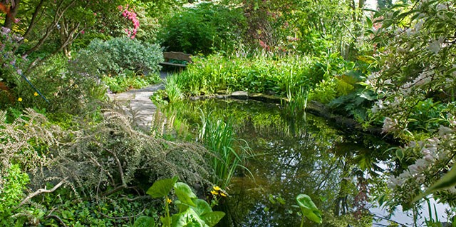 Gardeners and botanists come from all over the world to Branklyn to see the outstanding collection of plants particularly rhododendrons, alpines, herbaceous and peat-garden plants. Two acres of magnificent garden, set on the side of Kinnoull Hill overlooking Perth.