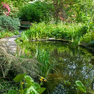 Gardeners and botanists come from all over the world to Branklyn to see the outstanding collection of plants particularly rhododendrons, alpines, herbaceous and peat-garden plants. Two acres of magnificent garden, set on the side of Kinnoull Hill overlooking Perth.