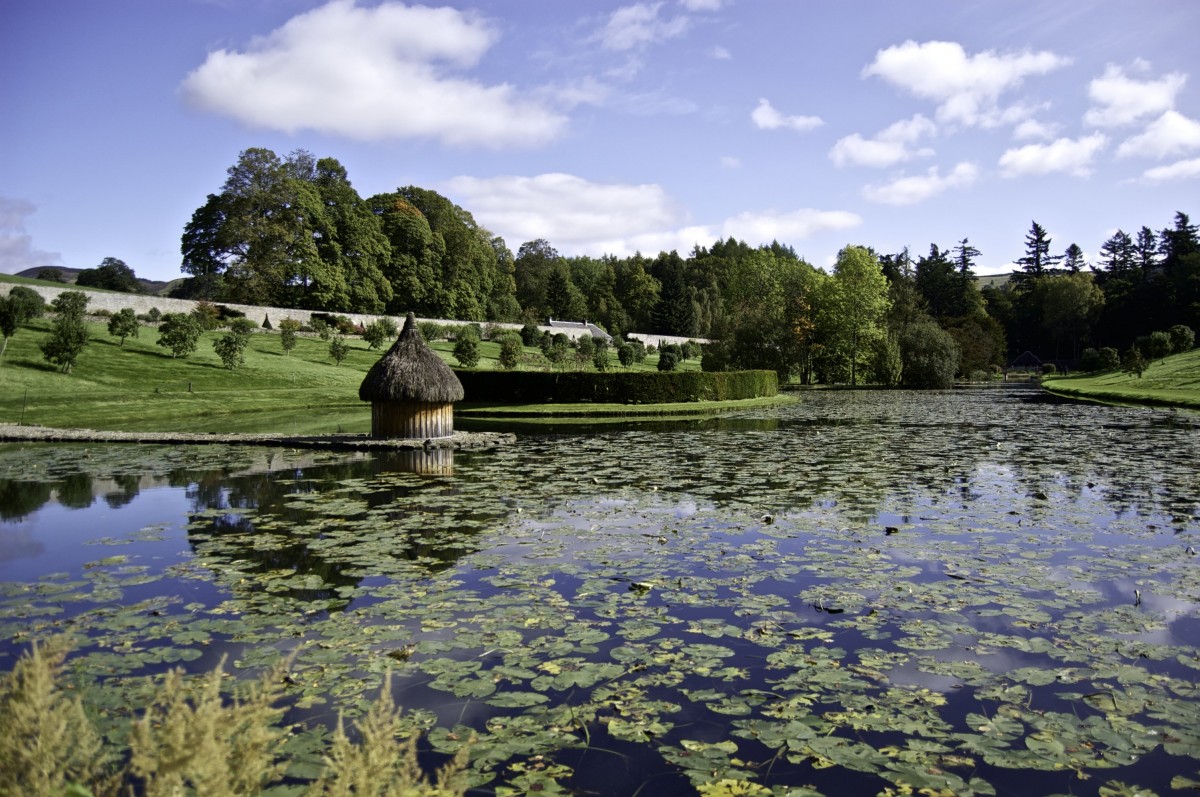 Visit the Blair Castle Gardens in Perthshire this summer and enjoy roaming it's whimsical Gothic folly and enjoy the wildlife. Peacocks roam the grounds, Highland cattle graze in fields nearby and the native red squirrel can often be spotted amongst the branches.