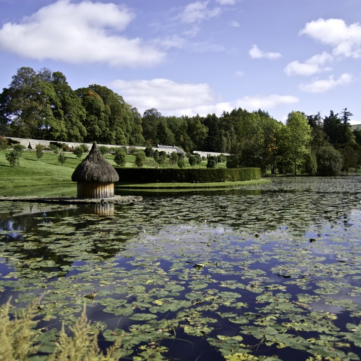 Visit the Blair Castle Gardens in Perthshire this summer and enjoy roaming it's whimsical Gothic folly and enjoy the wildlife. Peacocks roam the grounds, Highland cattle graze in fields nearby and the native red squirrel can often be spotted amongst the branches.